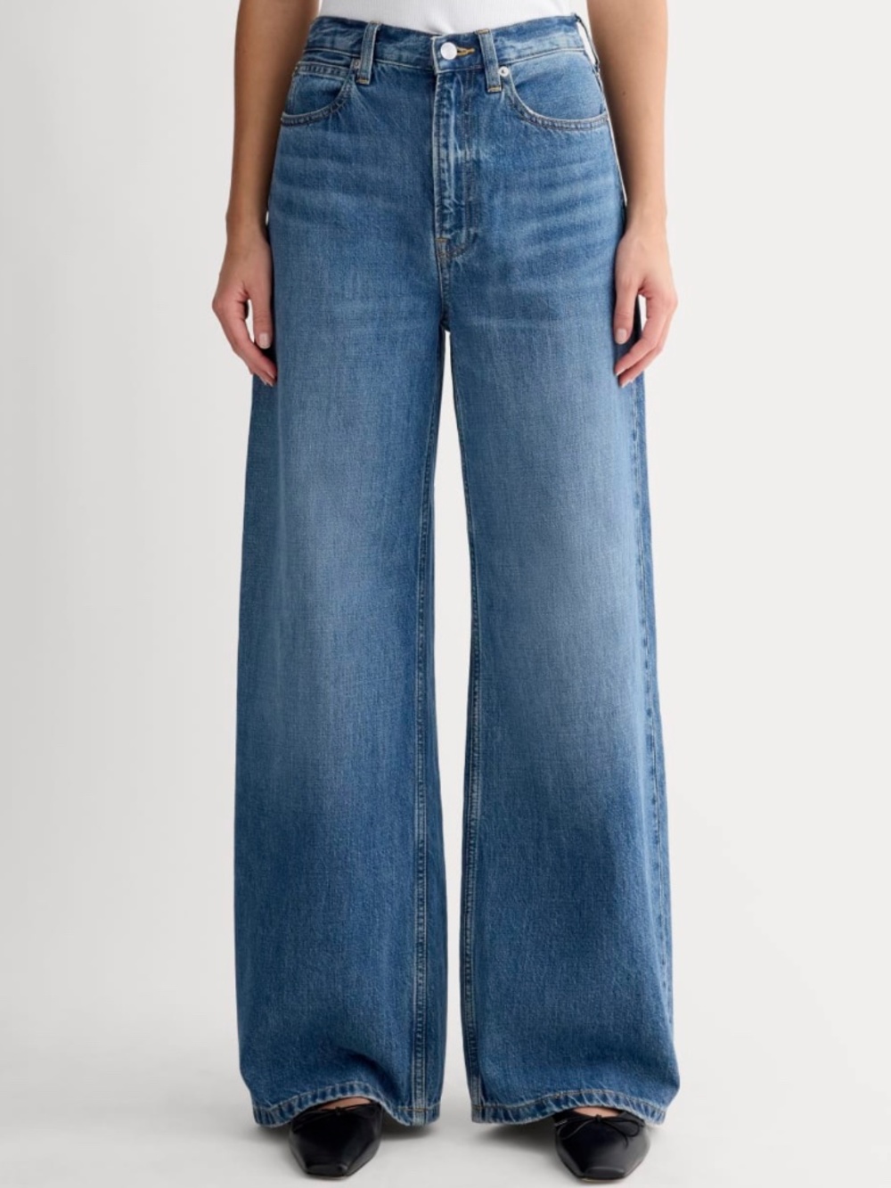 NWT Everlane OG Baggy High-Rise Wide-Leg Jeans Ricky Size 29 Regular